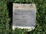 image of grave number 784441